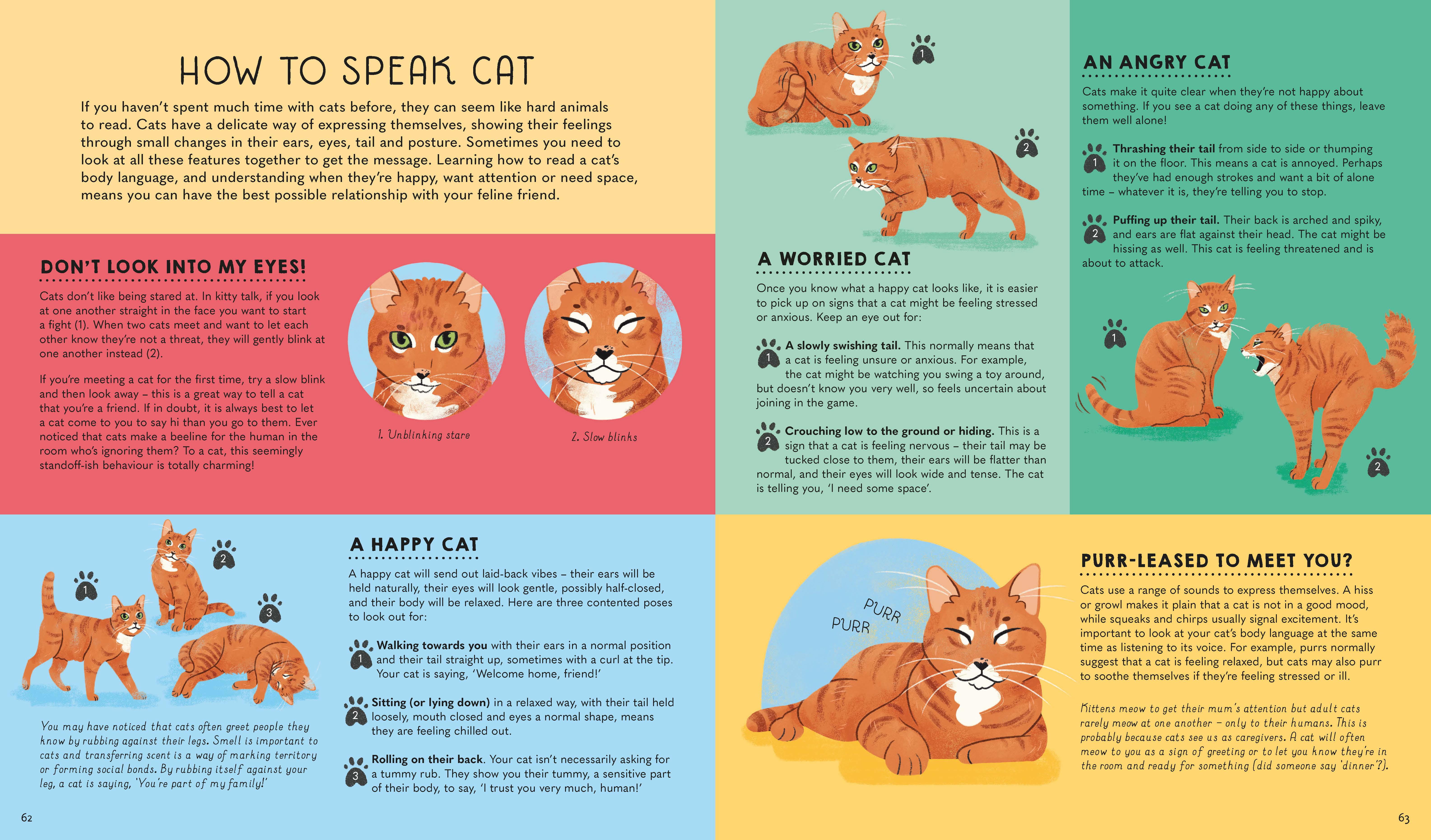 Atlas of Cats - Image 6