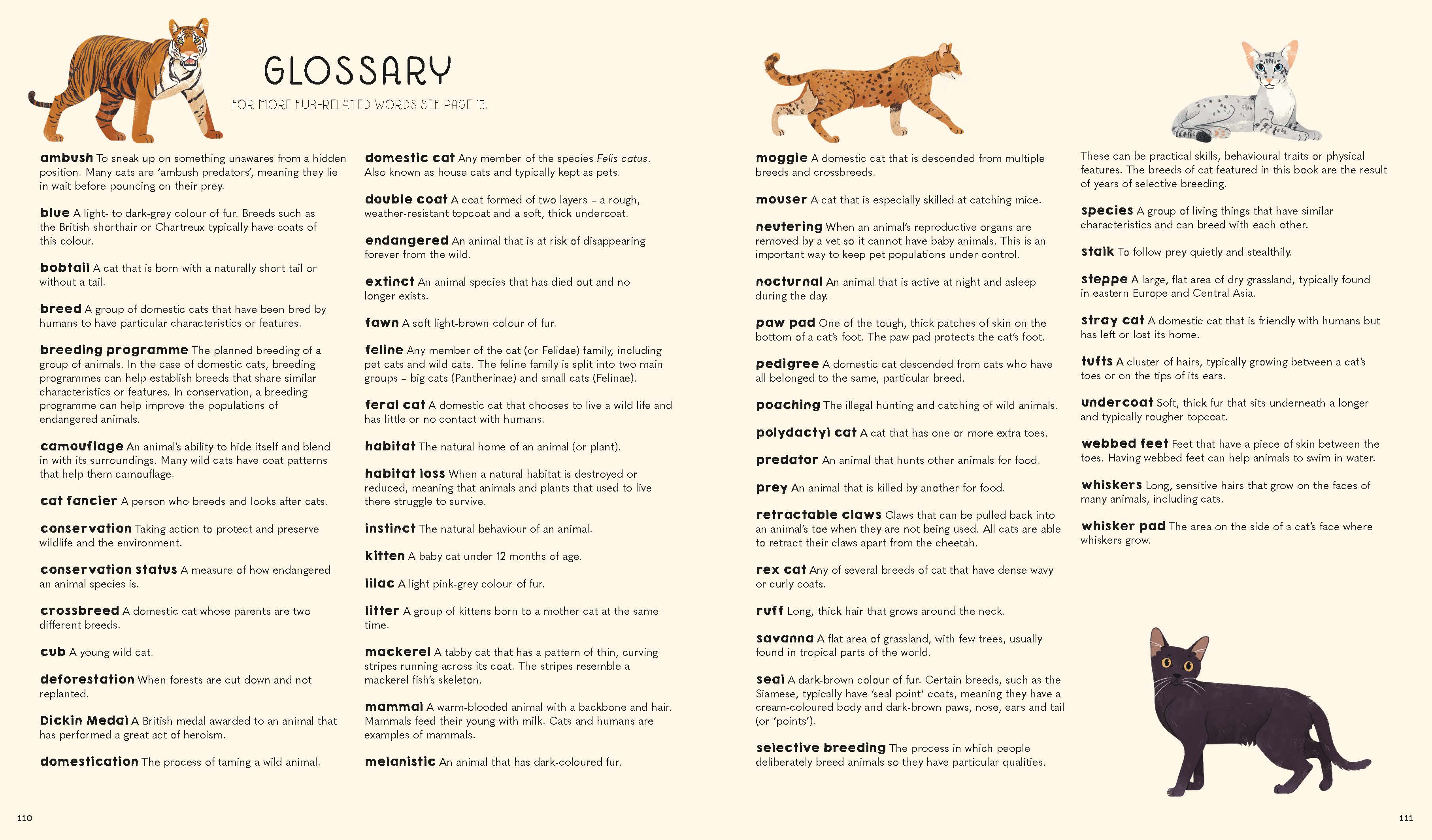 Atlas of Cats (North and South America edition) - Image 13