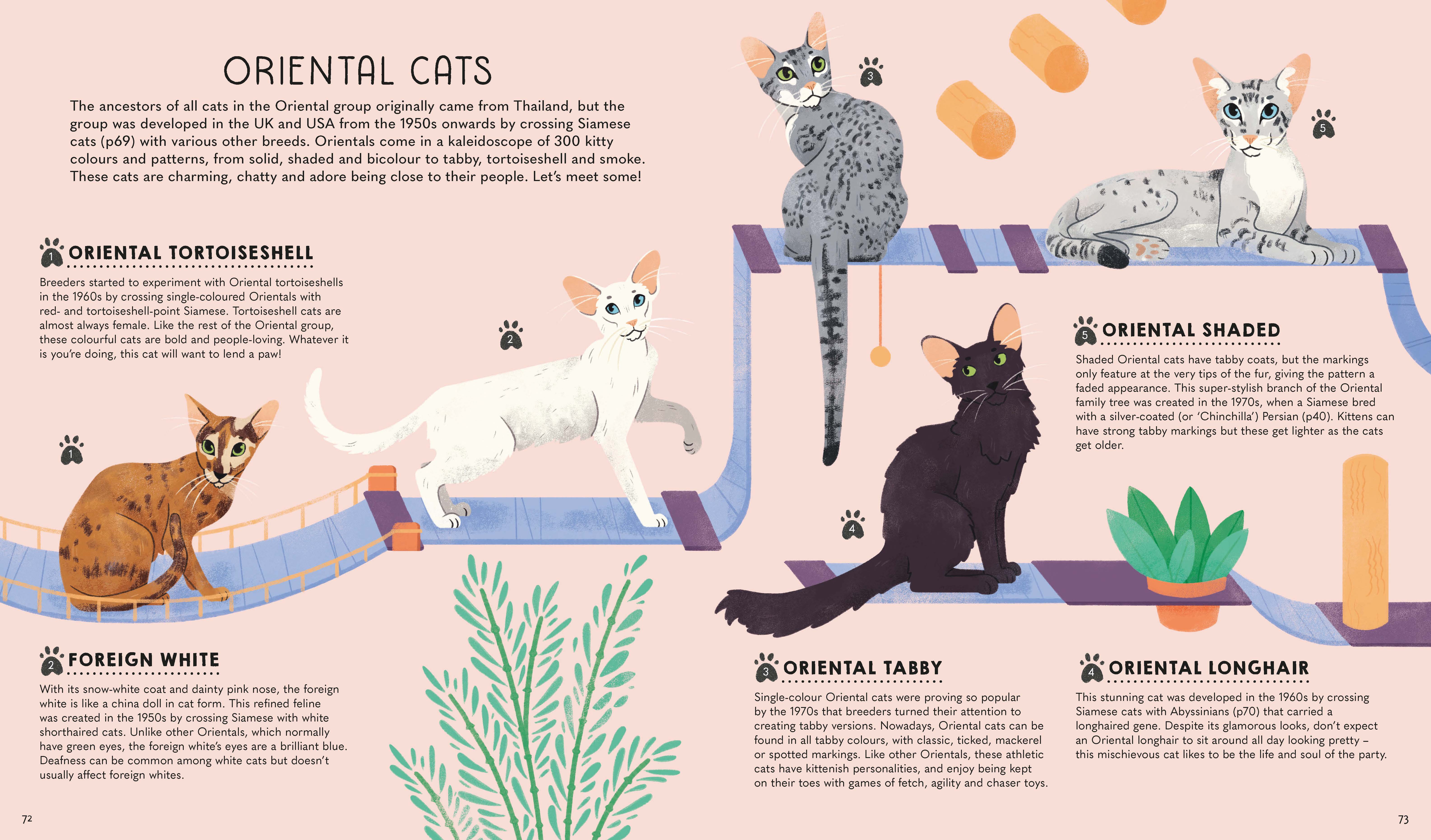 Atlas of Cats (North and South America edition) - Image 7