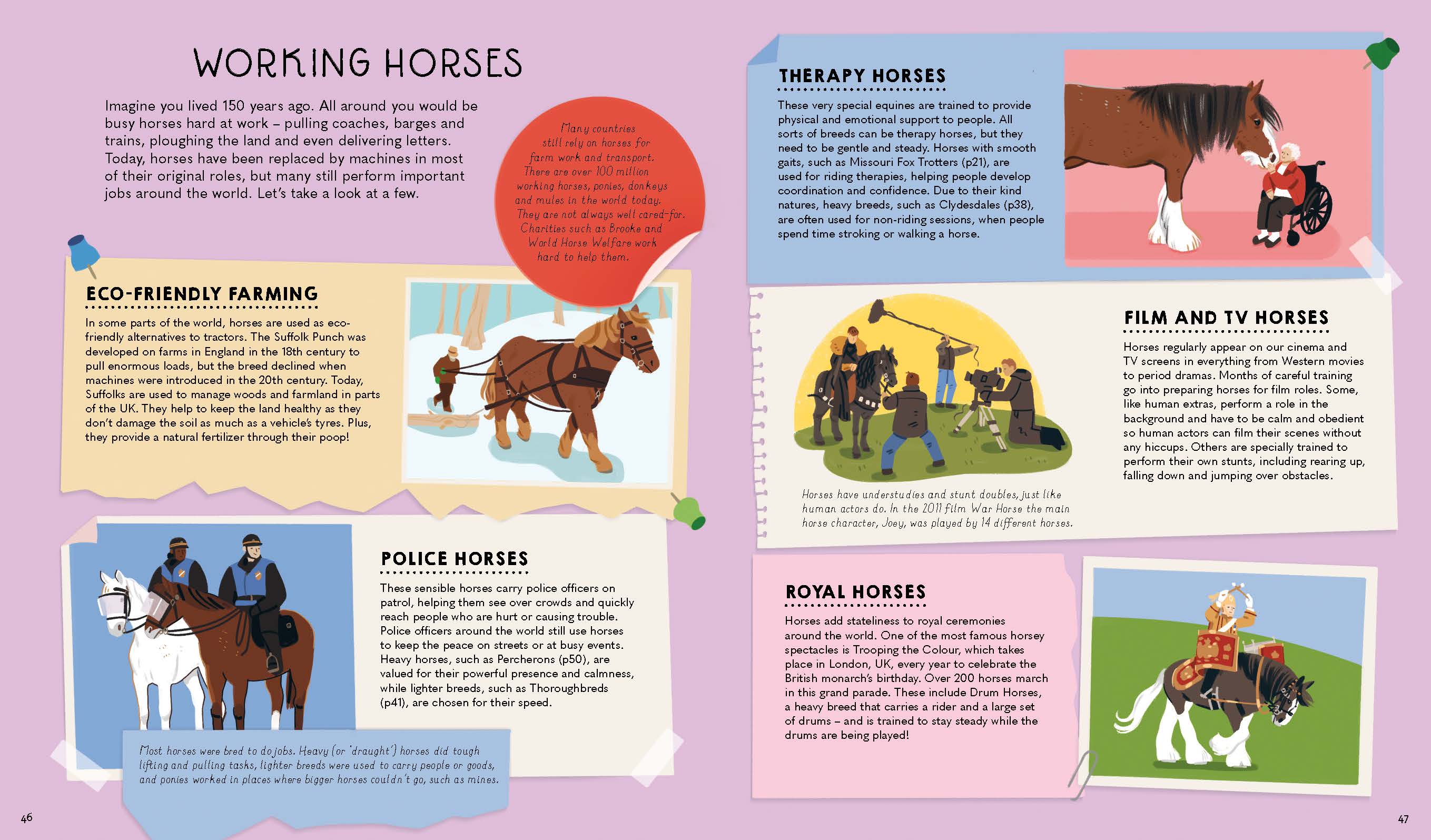 Atlas of Horses and Ponies - Book + eBook - Image 8