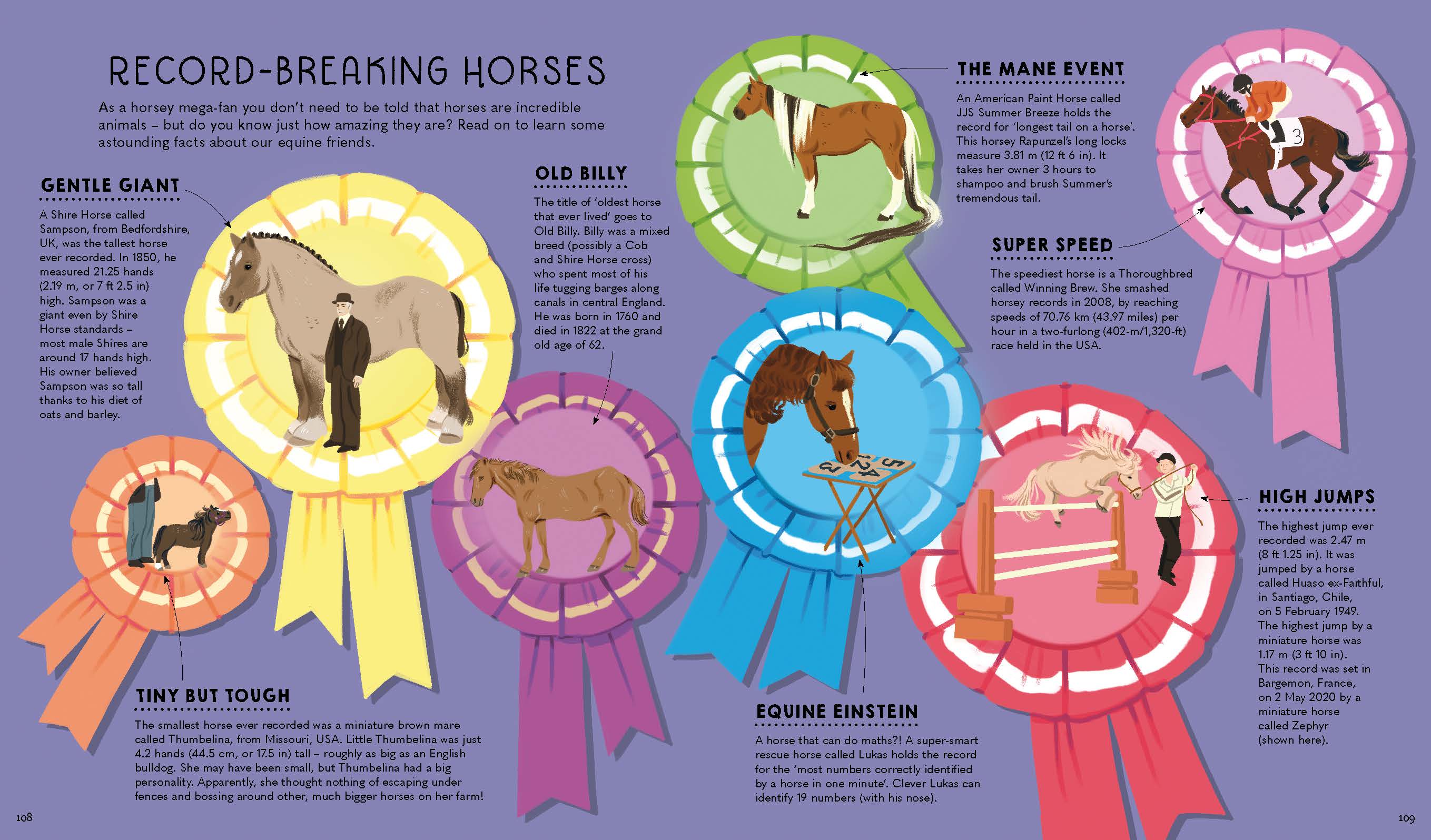 Atlas of Horses and Ponies (North & South America edition) - Book - Image 11