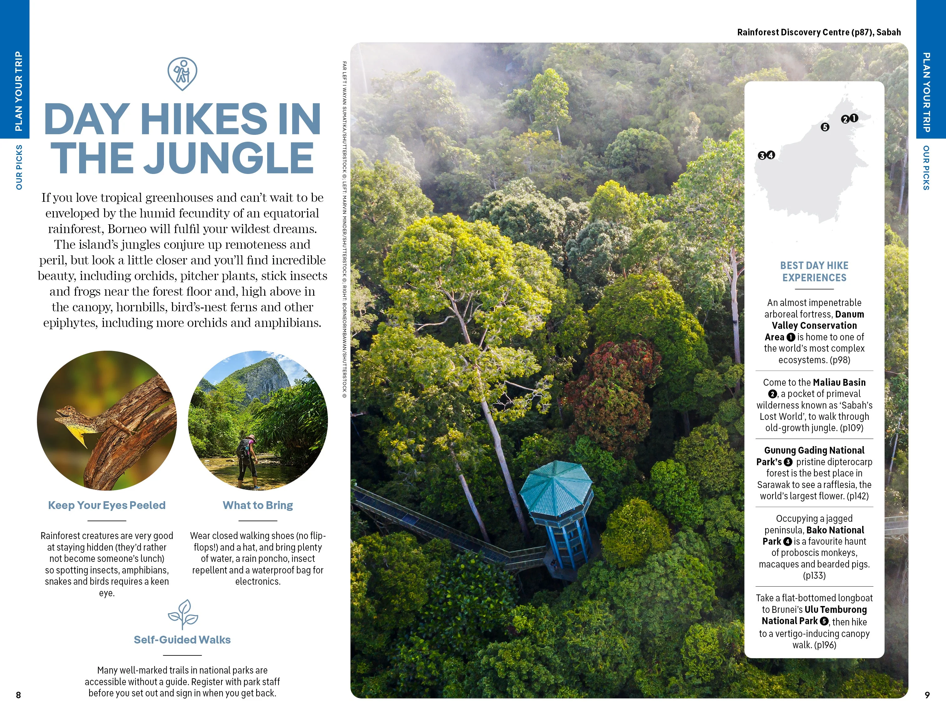 Borneo - Book - Image 5