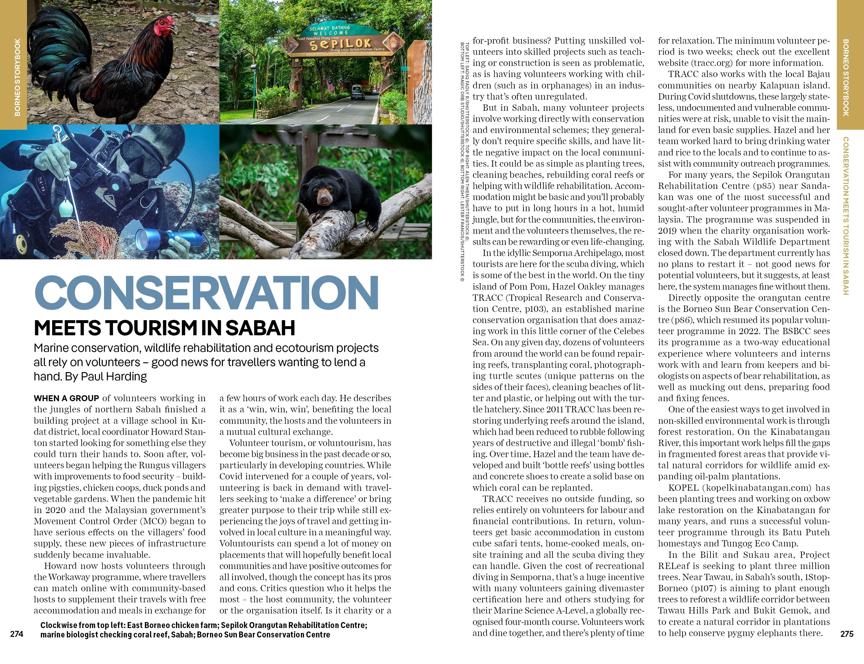 Borneo - Book + eBook - Image 18
