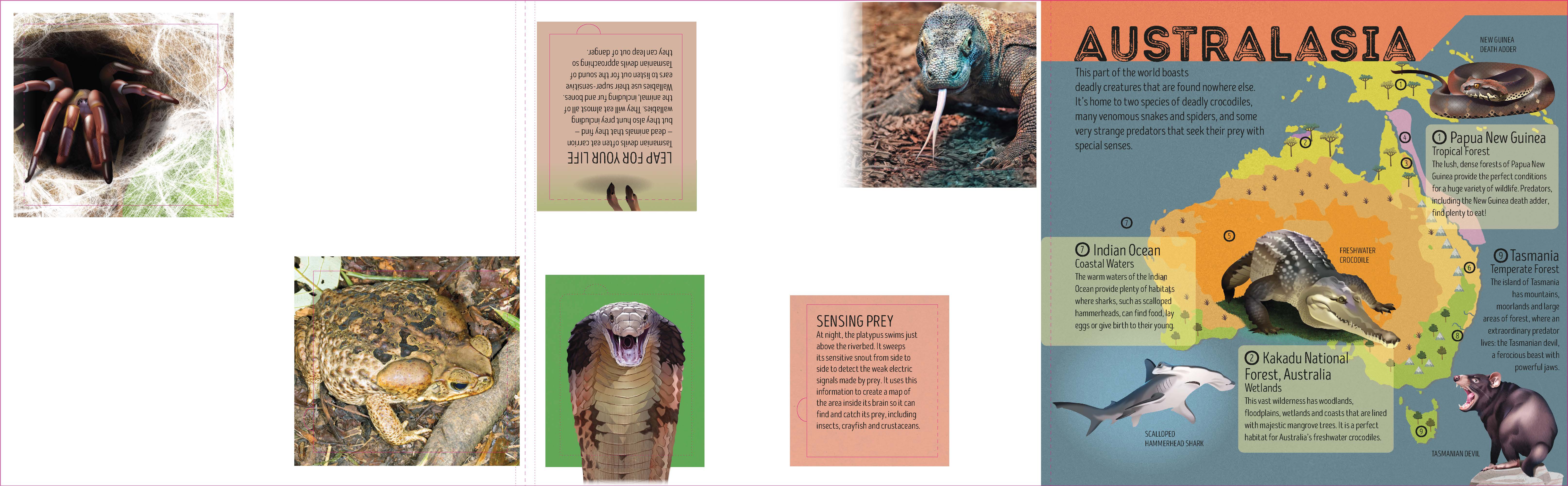 Deadly Animal Atlas (North and South America edition) - Image 6