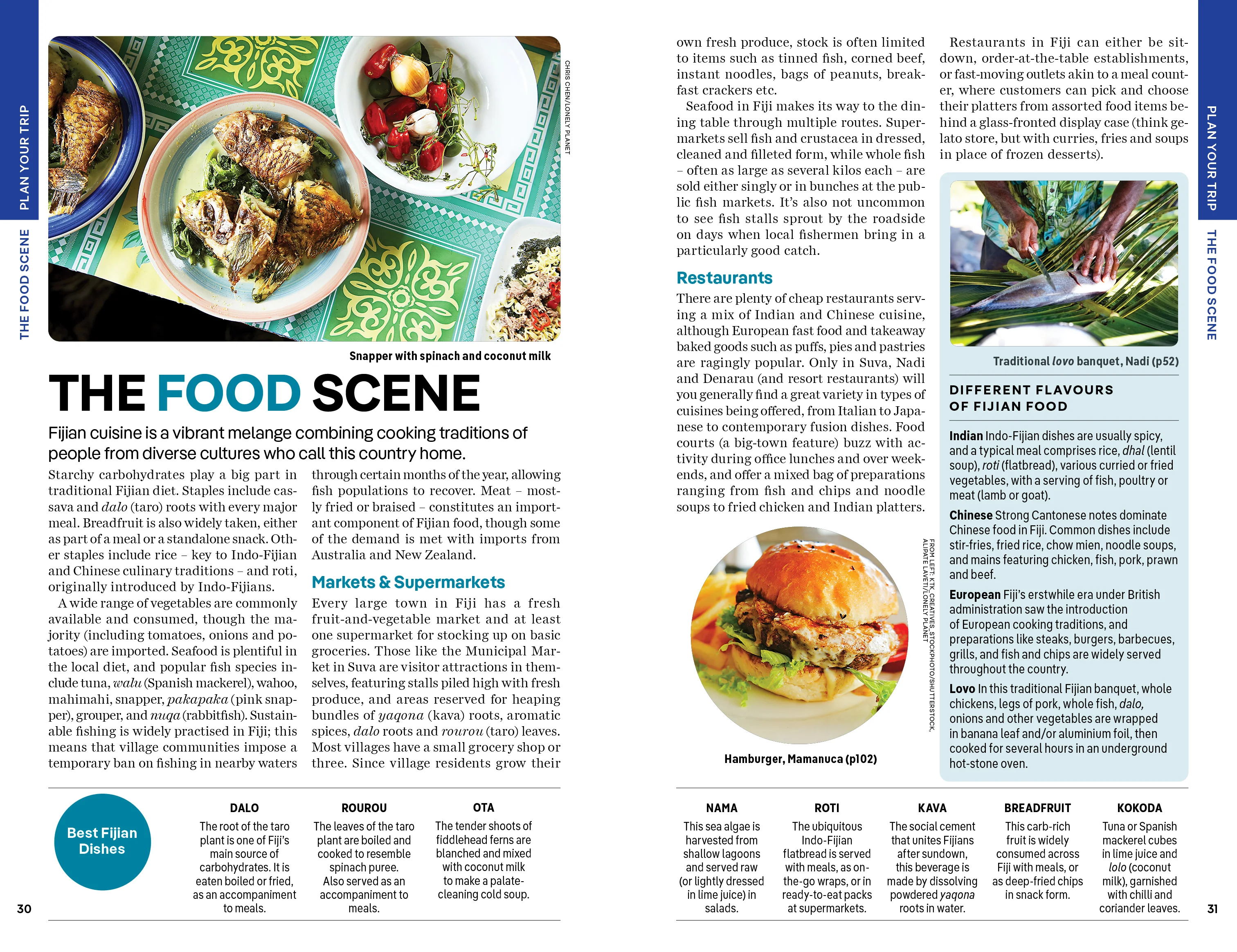 Fiji - Book - Image 9