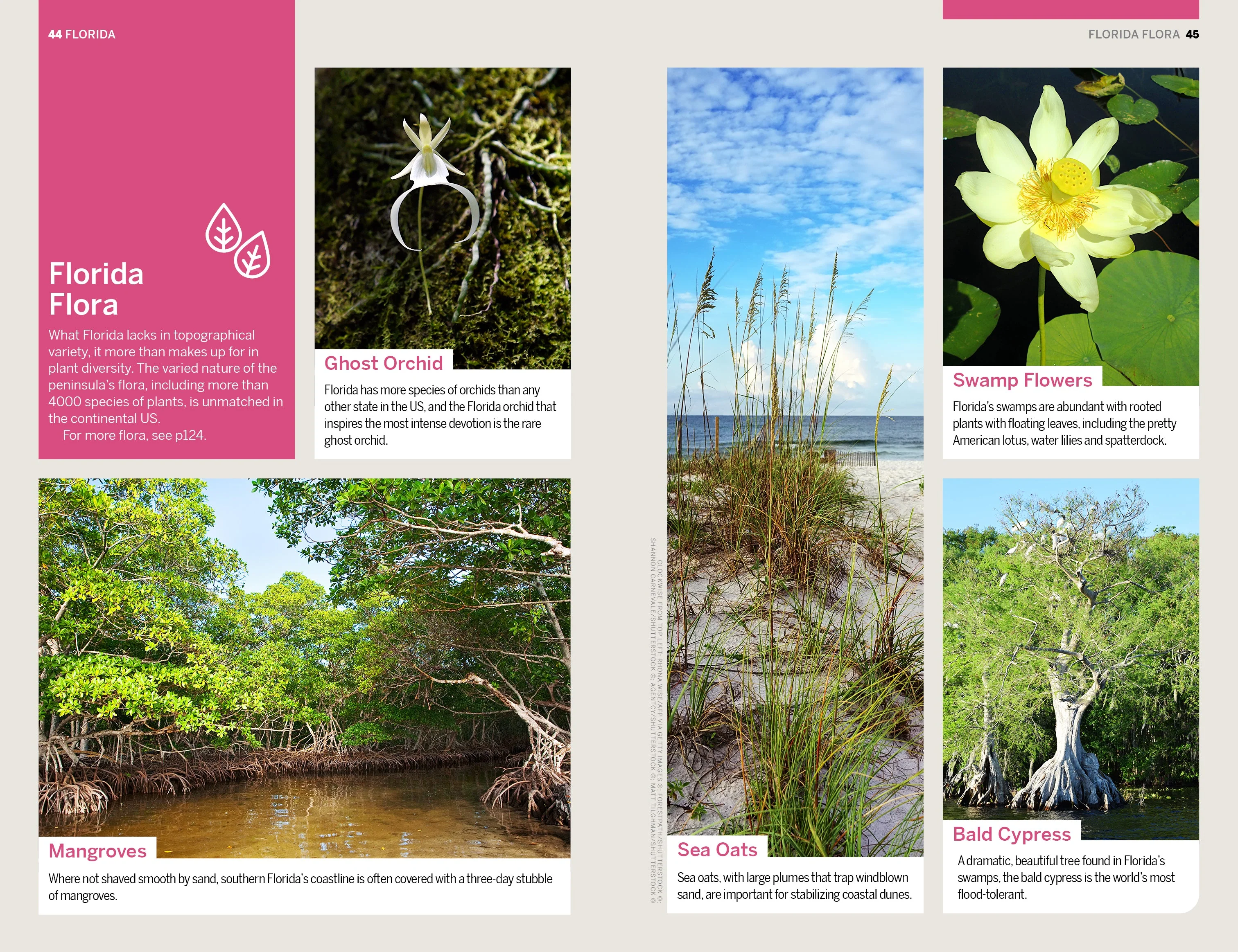 Florida & the South's National Parks - Book - Image 16