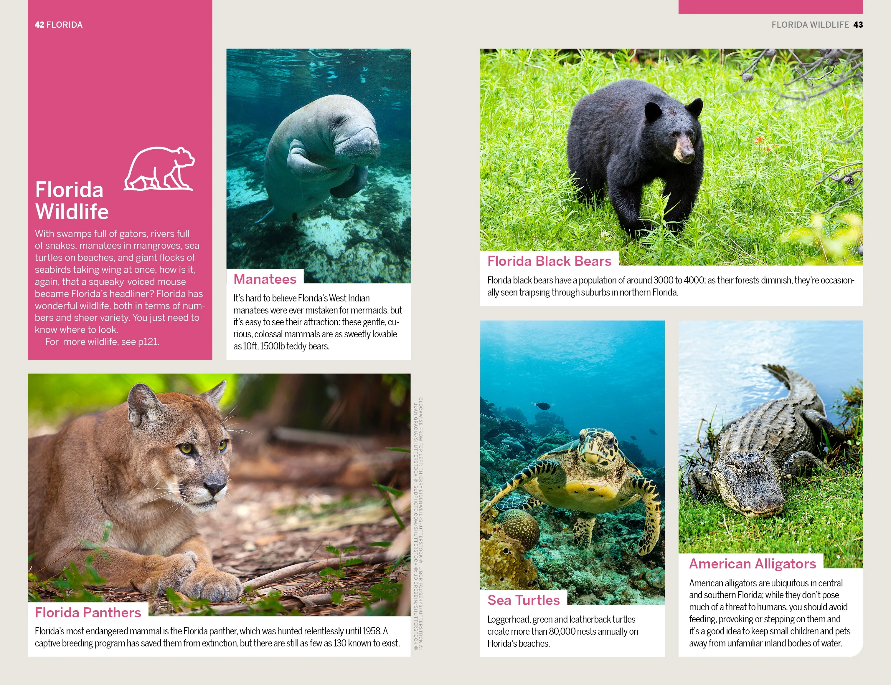 Florida & the South's National Parks - Book + eBook - Image 15