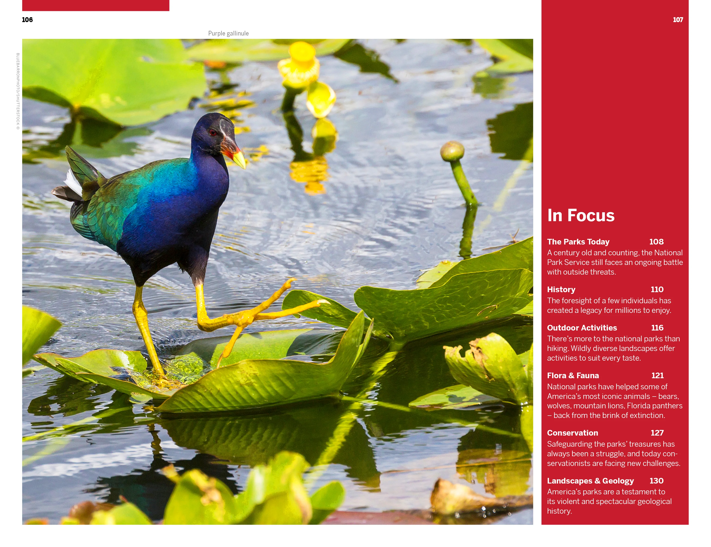 Florida & the South's National Parks - Image 17