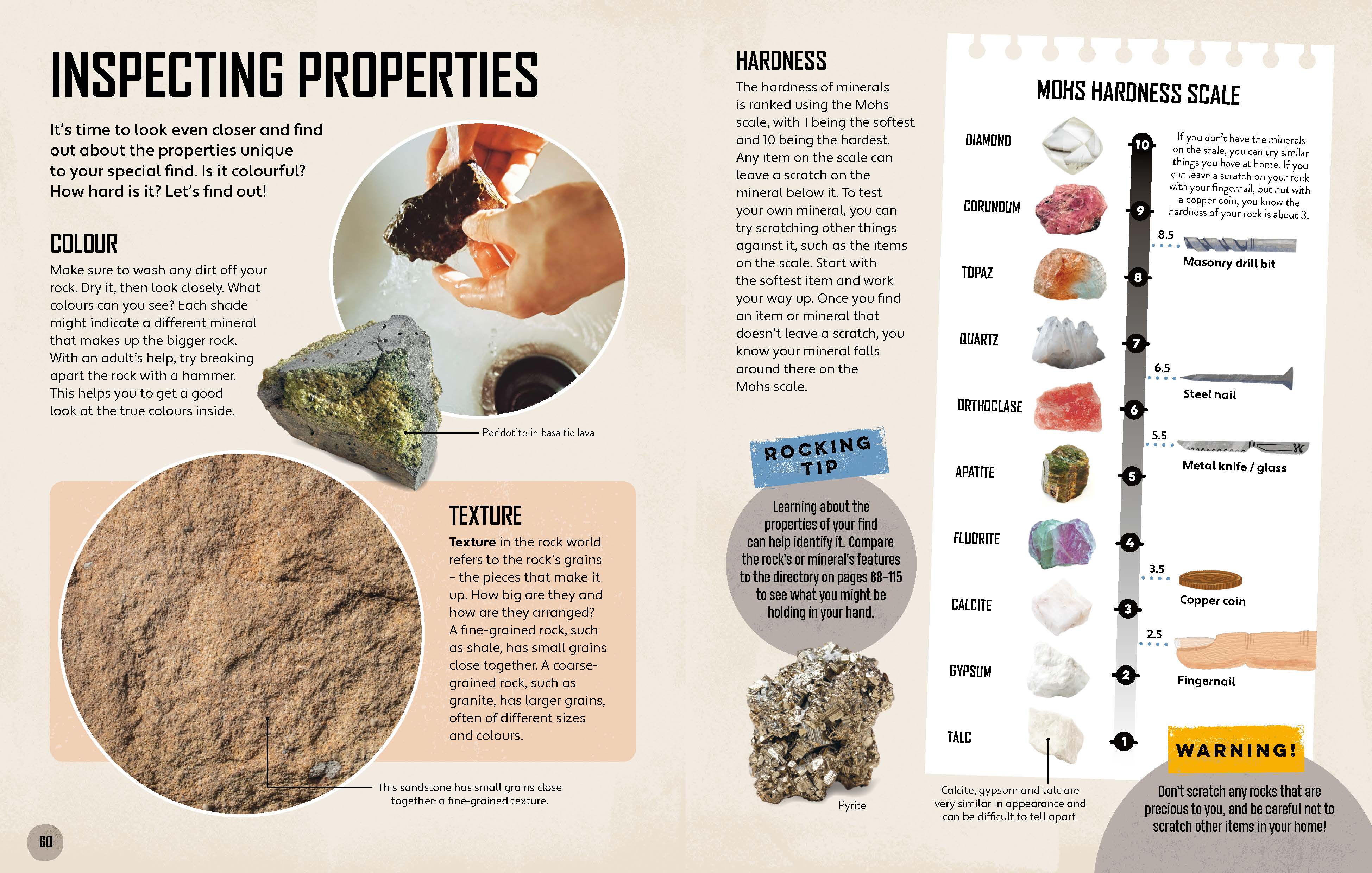 Let's Go Rock Collecting - Image 13