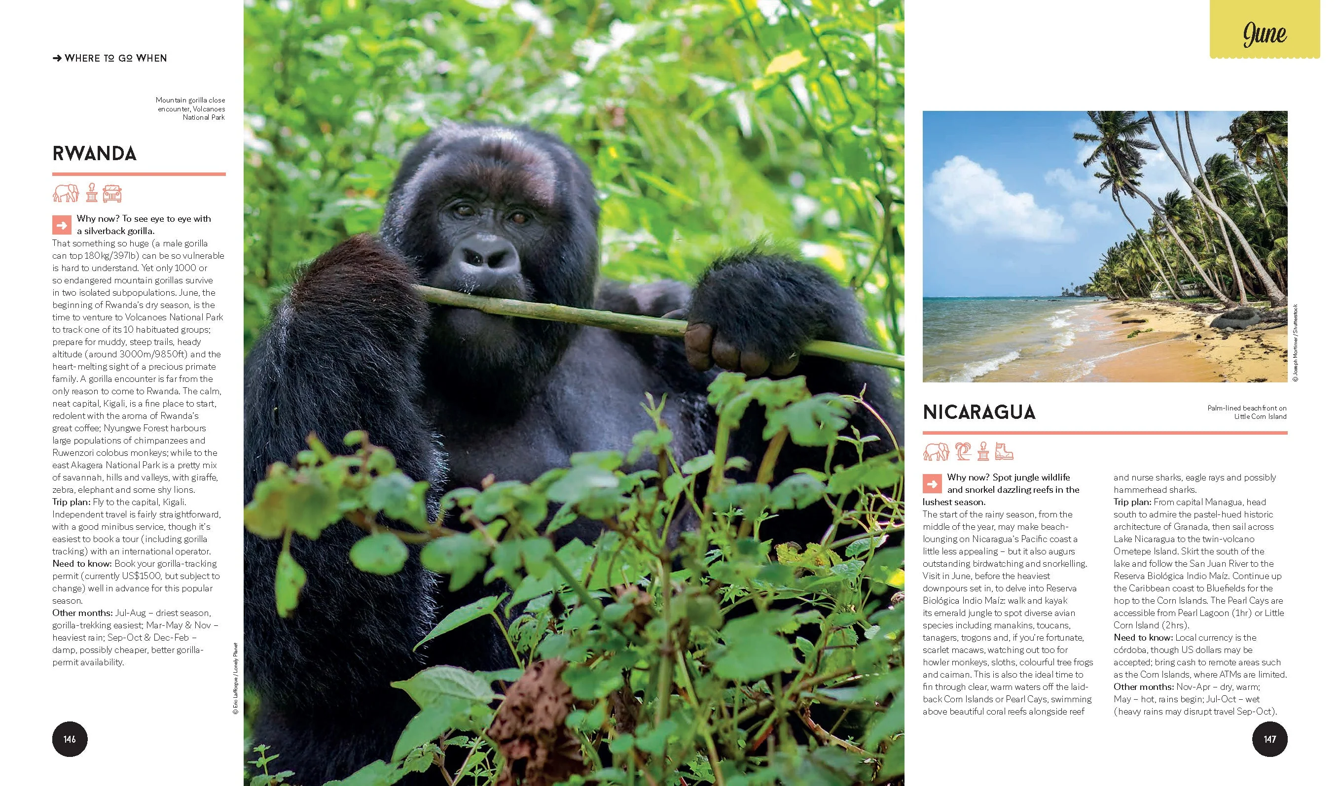 Lonely Planet's Where to Go When - Book + eBook - Image 13