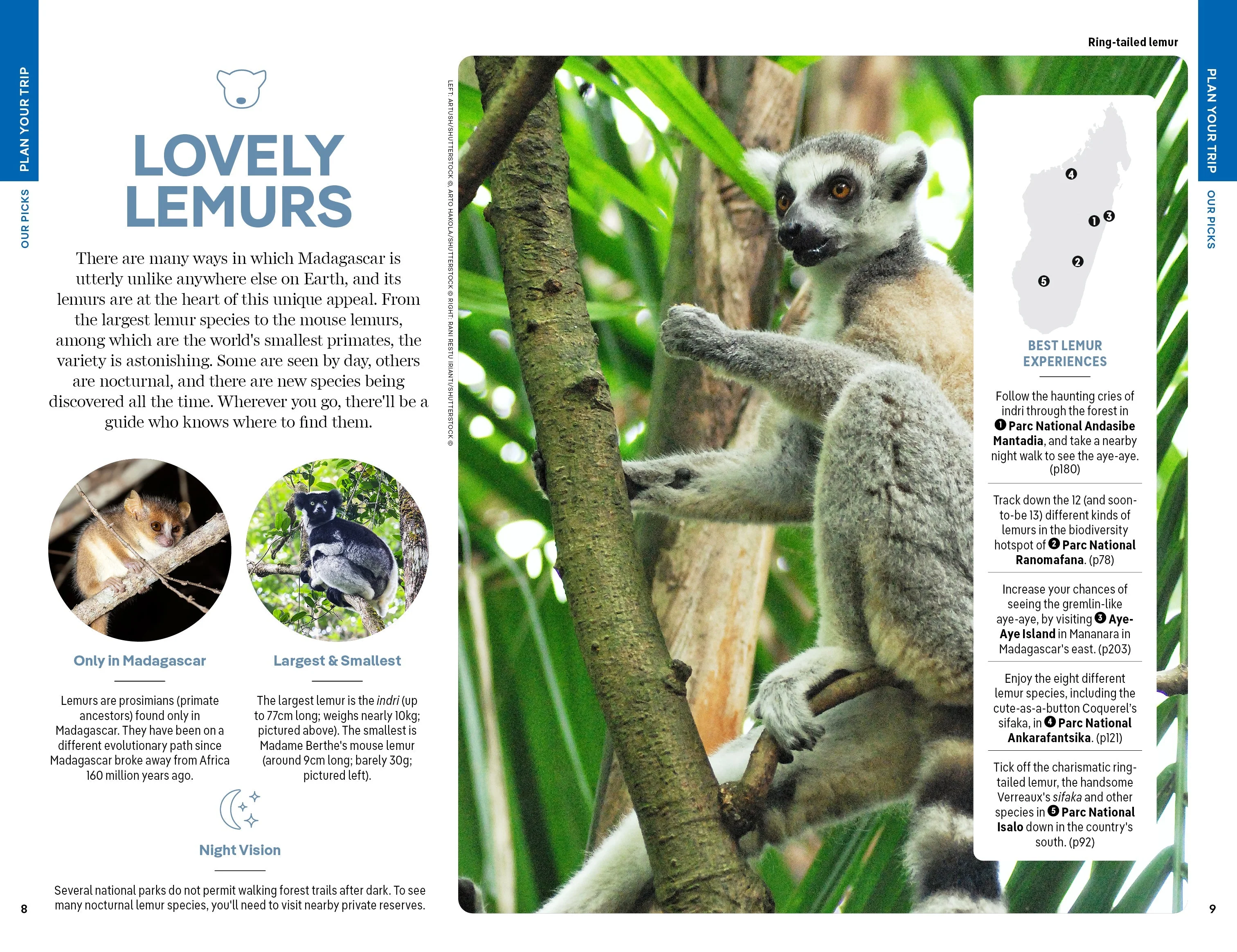 Madagascar - Book + eBook - Image 5