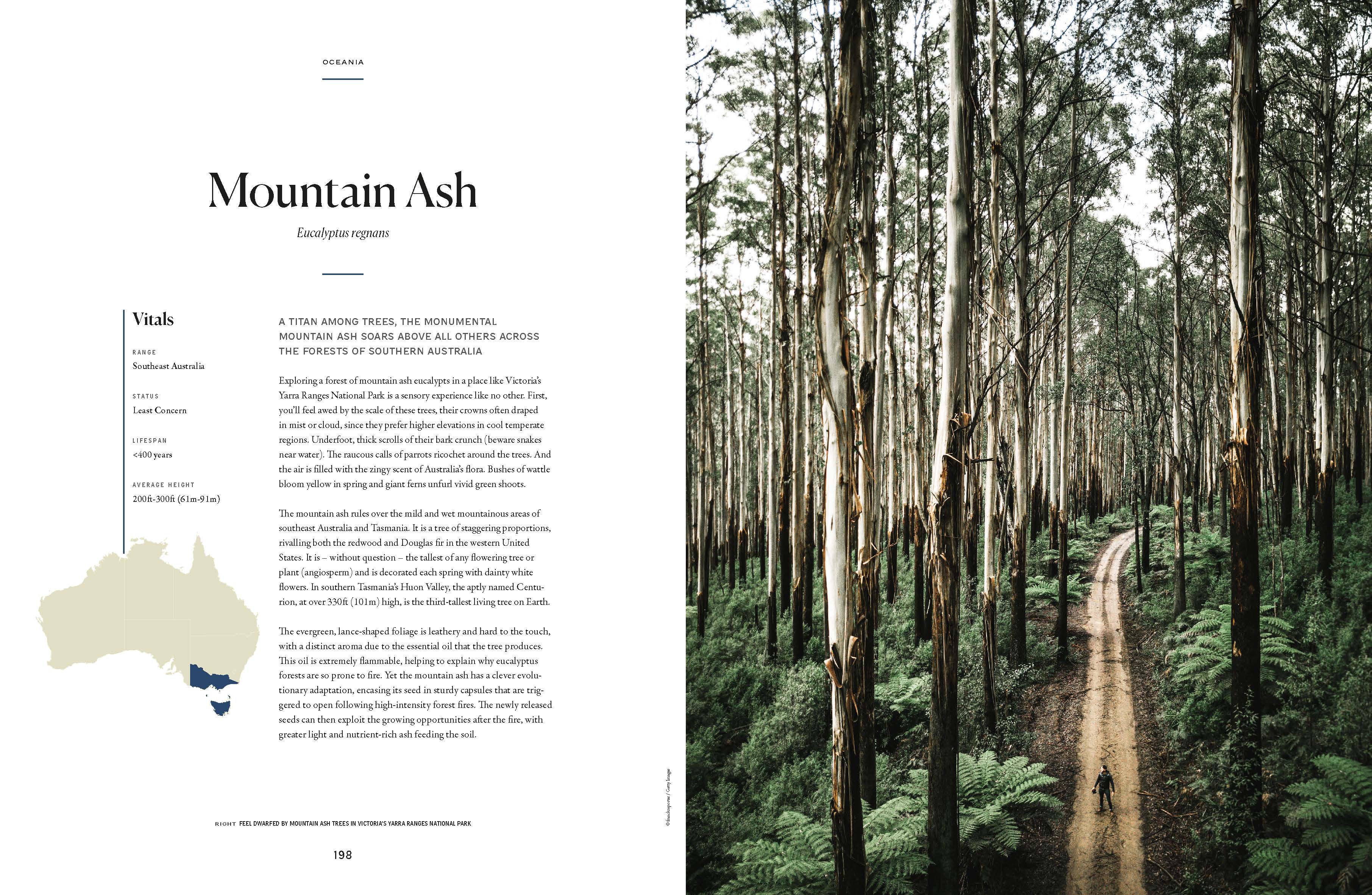 The Tree Atlas - Image 18